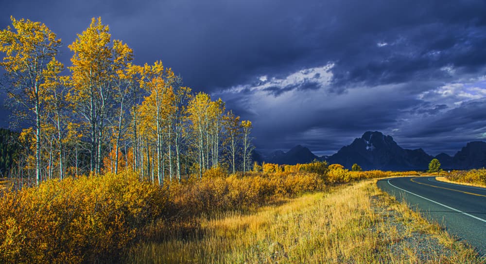 Golden Aspen Mountain Road by Bing Yu — canvas wall art
