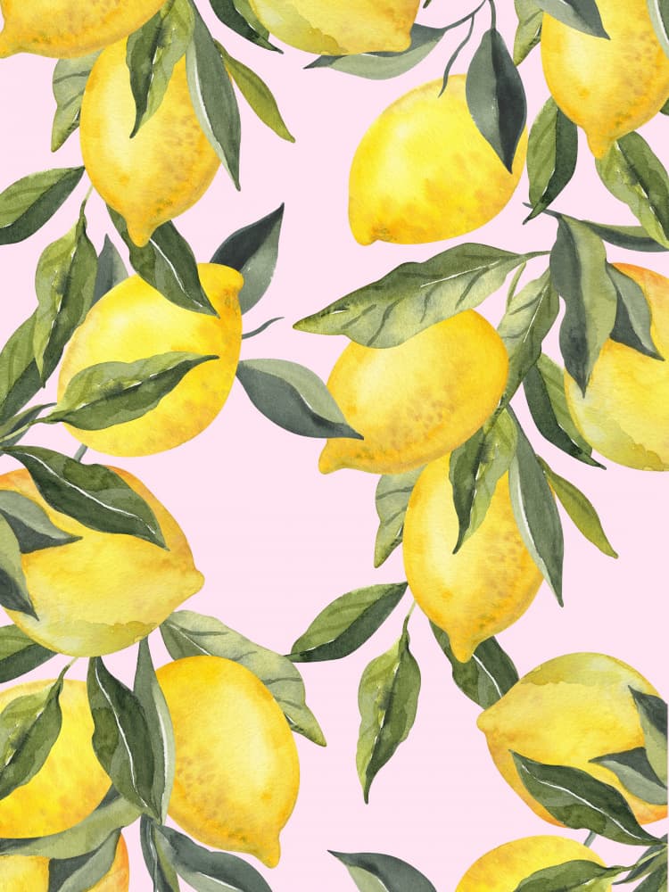 Fresh Lemon Pattern by Mathieu jeuf — canvas wall art