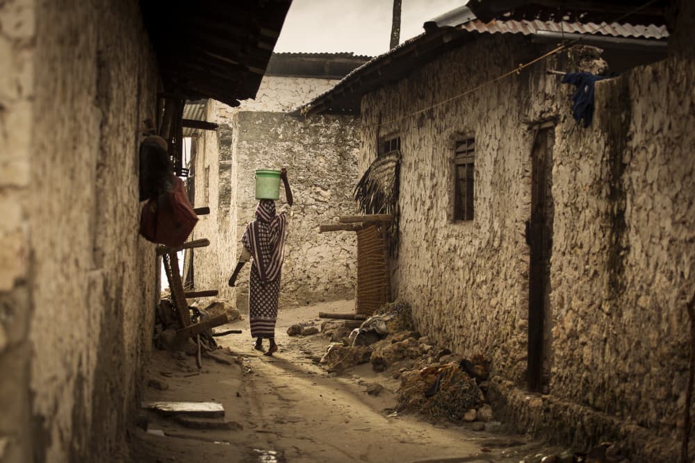 Daily Village Path by Dan Mirica — canvas wall art