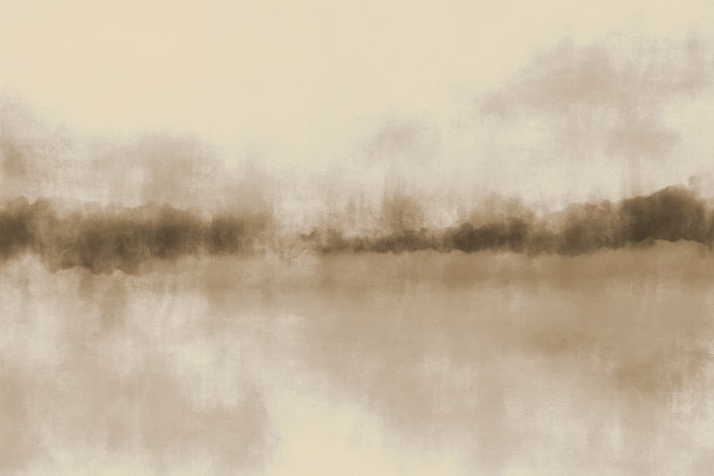 Misty Lake Reflection by Dina Dankers — canvas wall art
