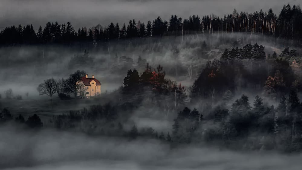 Foggy Forest House by Walter Lackner — canvas wall art