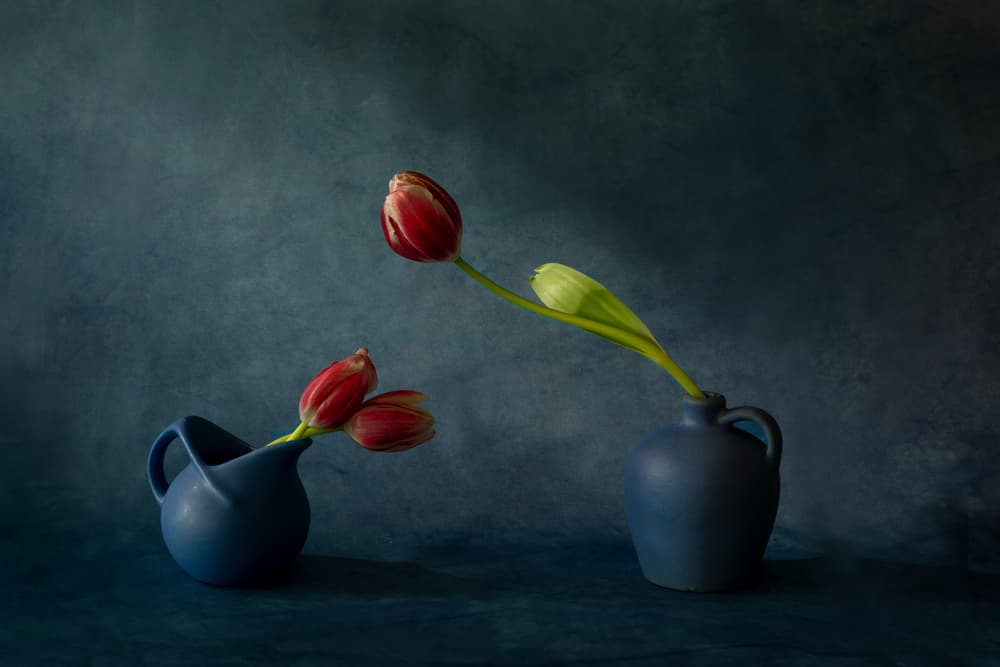 Elegant Tulip Still Life by Dennis Zhang — canvas wall art