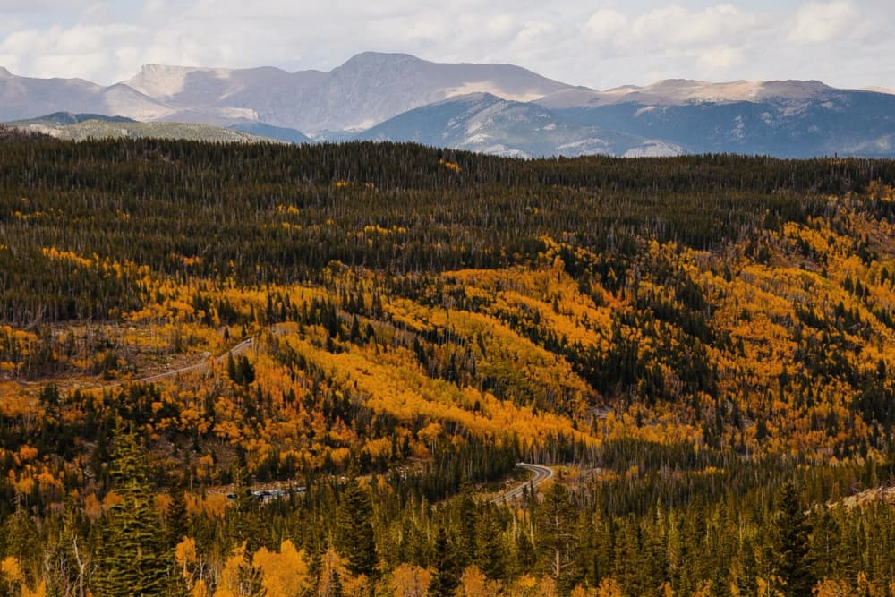 Golden Fall Mountain Road by Del Mundo Imagery — canvas wall art