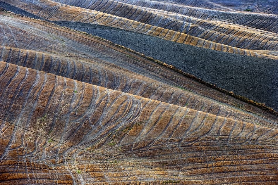 Rolling Field Patterns by Jure Kravanja — canvas wall art