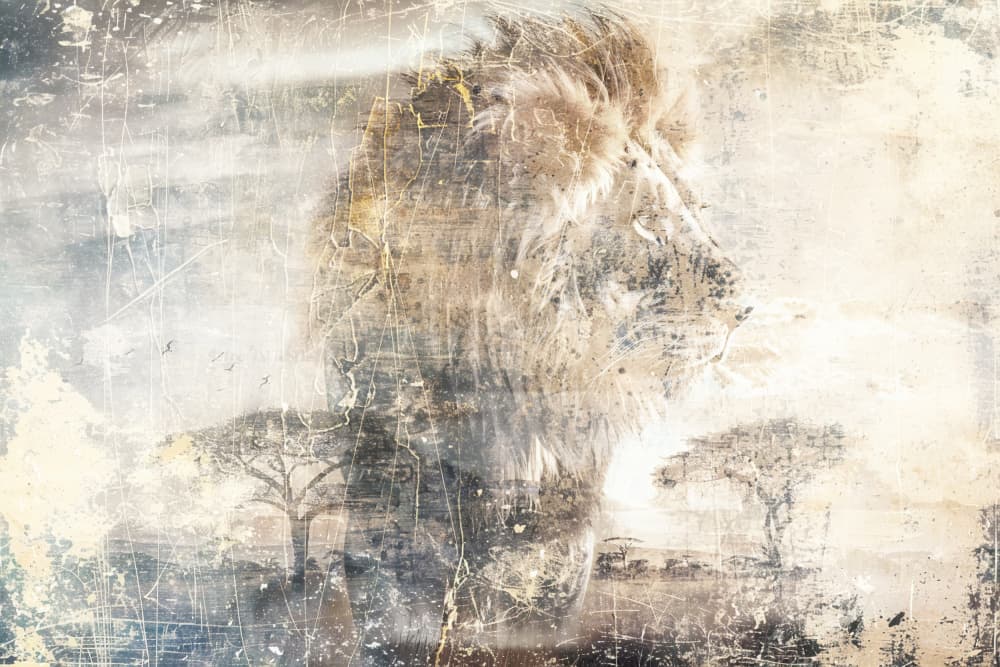 Vintage African Lion by Rafal Kulik — canvas wall art