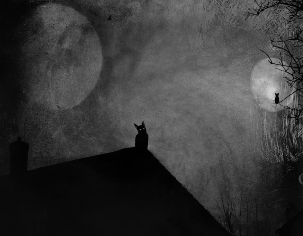 Black Cat Under Moons by Robert Fabrowski — canvas wall art