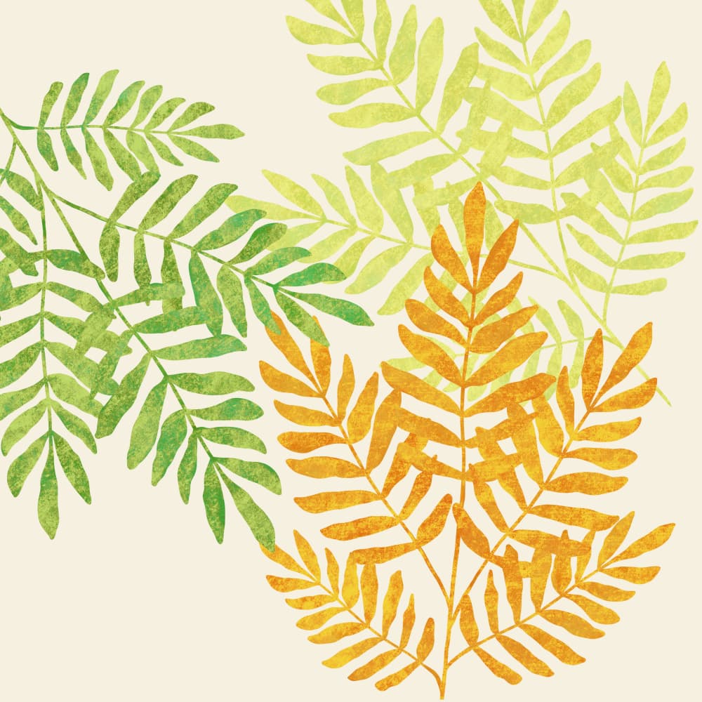 Indie Fern Trio by Kristian Gallagher — canvas wall art
