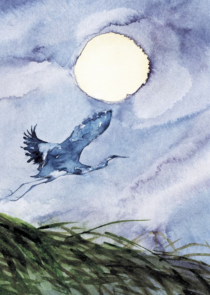 Moonlit Heron Flight by RodMacIver — canvas wall art