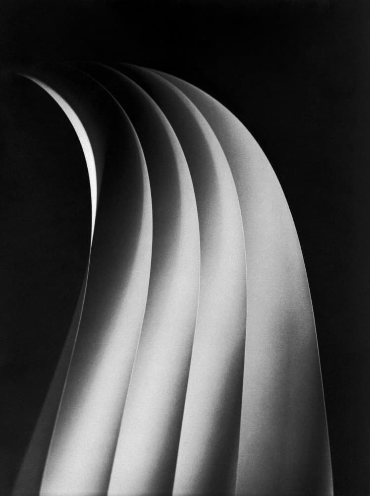 Graceful Abstract Curves by mirzacengic — canvas wall art