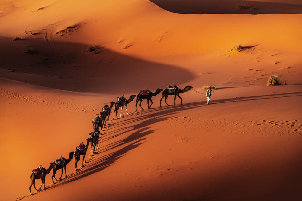 Golden Desert Caravan by Alexander Alexandrov — canvas wall art