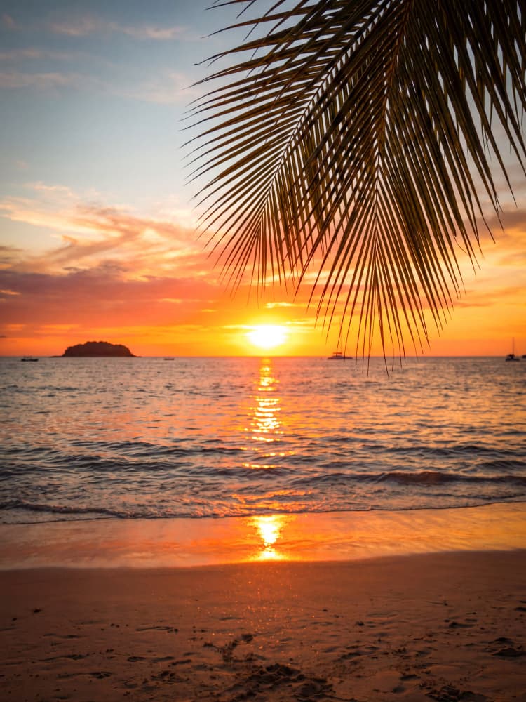 Tropical Beach Sunset by Andreas Magnusson — canvas wall art