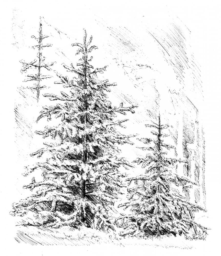 Snowy Evergreen Forest by Kulik — canvas wall art