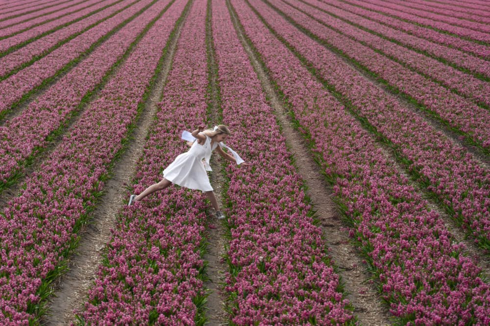 Woman Soaring Pink Fields by Jure Kravanja — canvas wall art
