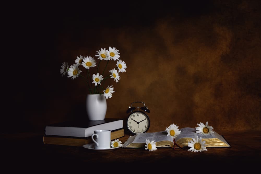 Daisies Books Morning Peace by Leah Xu — canvas wall art