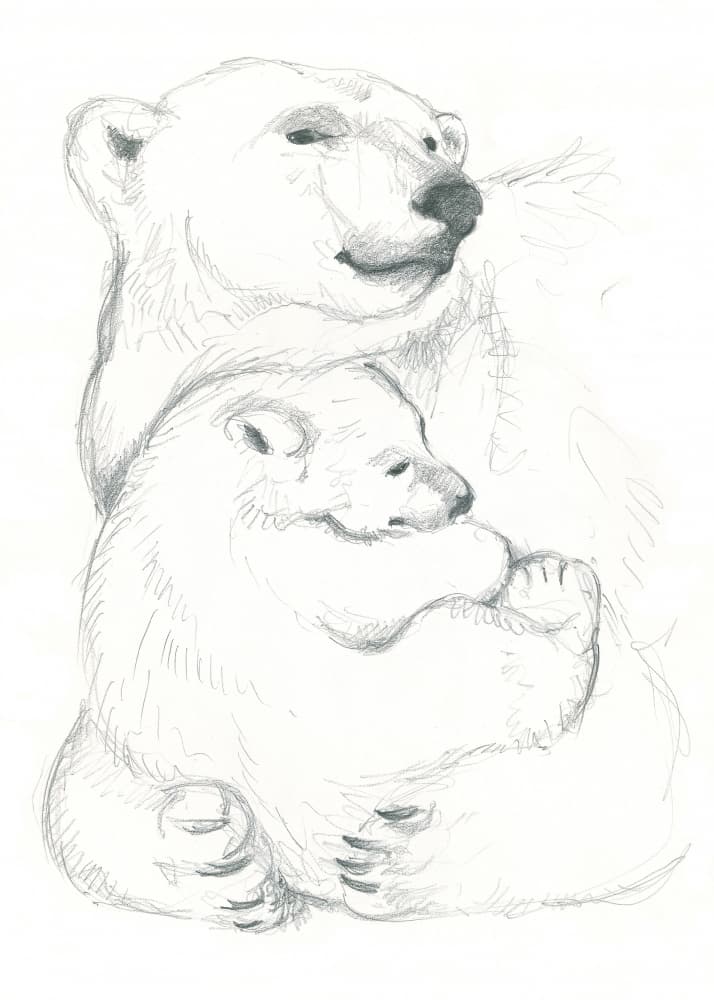 Polar Bear and Cub Drawing by Isabelle Brent — canvas wall art