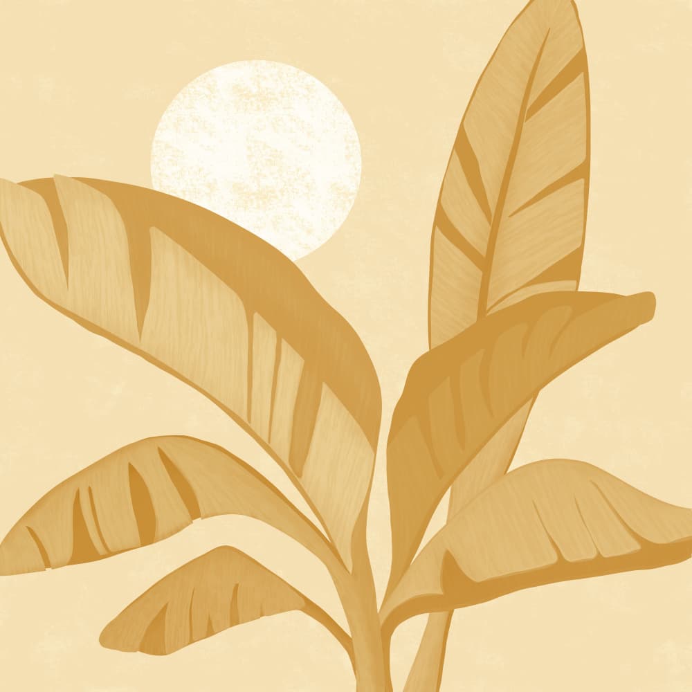 Golden Banana Leaves by Kristian Gallagher — canvas wall art