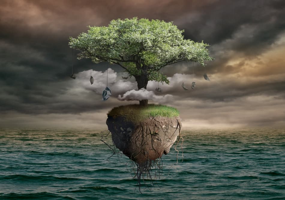 Floating Money Tree Island by Radoslav Penchev — canvas wall art