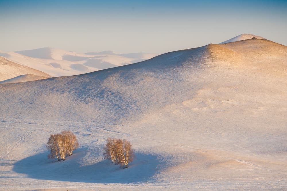 Golden Winter Hills by Petar Sabol — canvas wall art