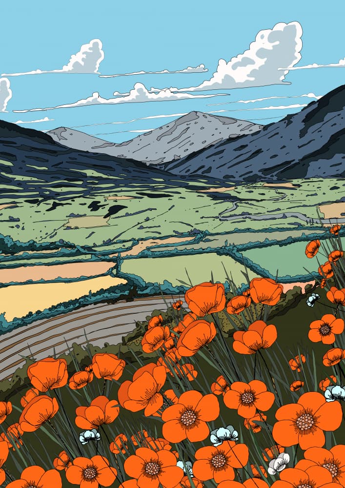 Vibrant Poppies Mountain Valley by Nicholas — canvas wall art
