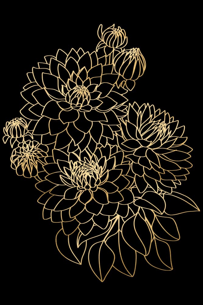 Golden Dahlias on Black by Rosana Laiz Blursbyai — canvas wall art