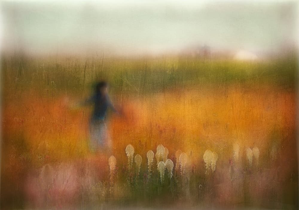 Golden Field Wanderer by Shenshen Dou — canvas wall art