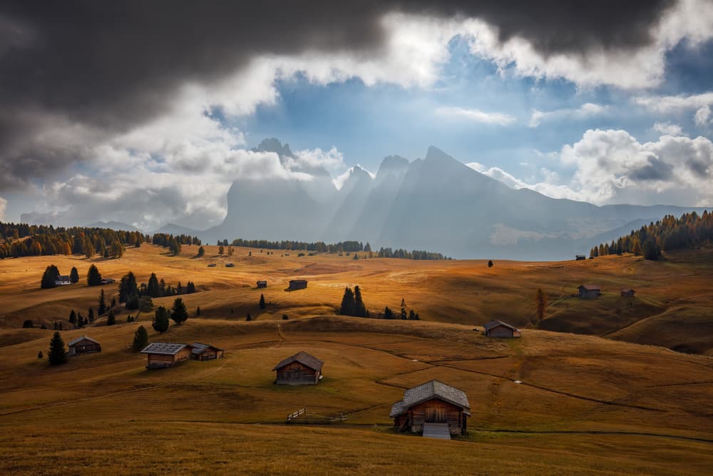 Golden Meadow Mountain Light by Martin Rak — canvas wall art