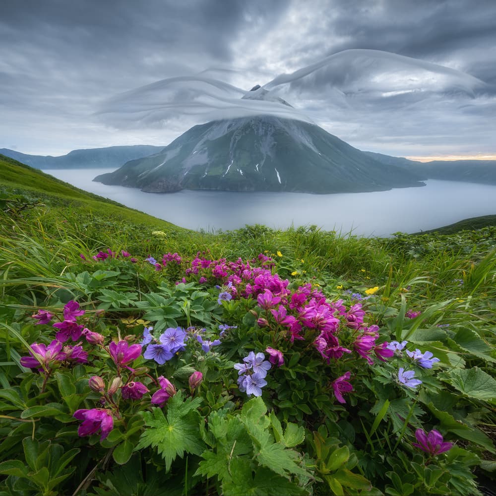Dramatic Mountain Lake Blooms by Alexandr Kukrinov — canvas wall art