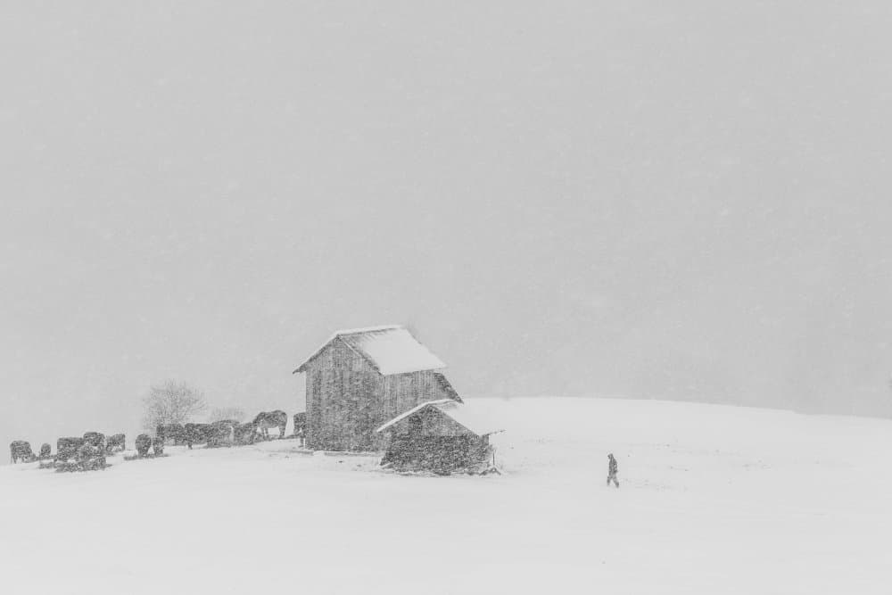 Snowy Winter Farm by Marina Sveduneac — canvas wall art