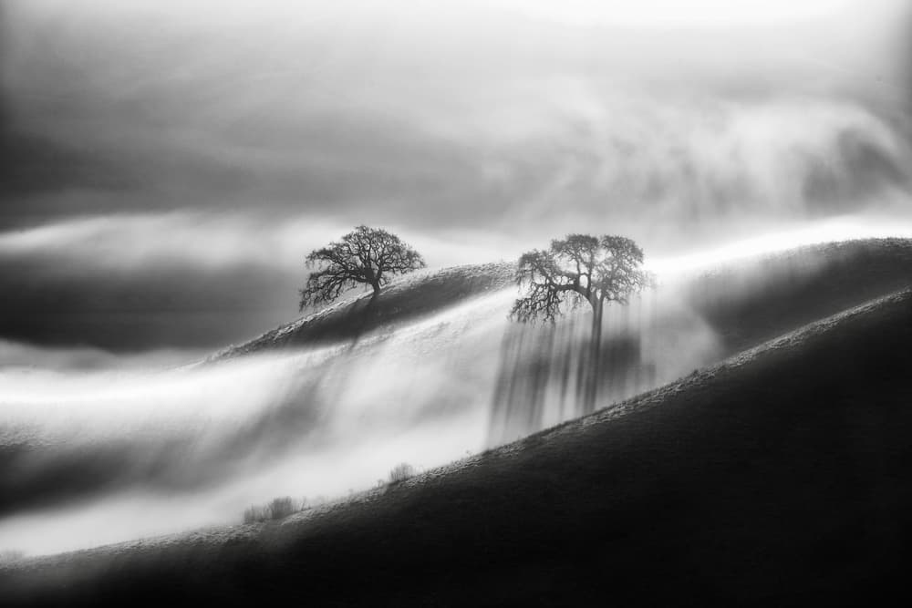 Misty Hills Light Rays by Johnny Zhang — canvas wall art