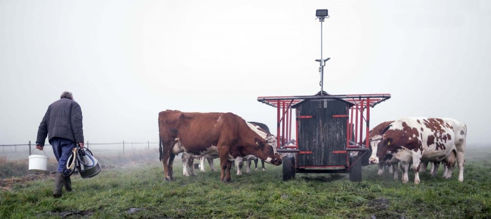 Modern Farm Life by Gert van den Bosch — canvas wall art