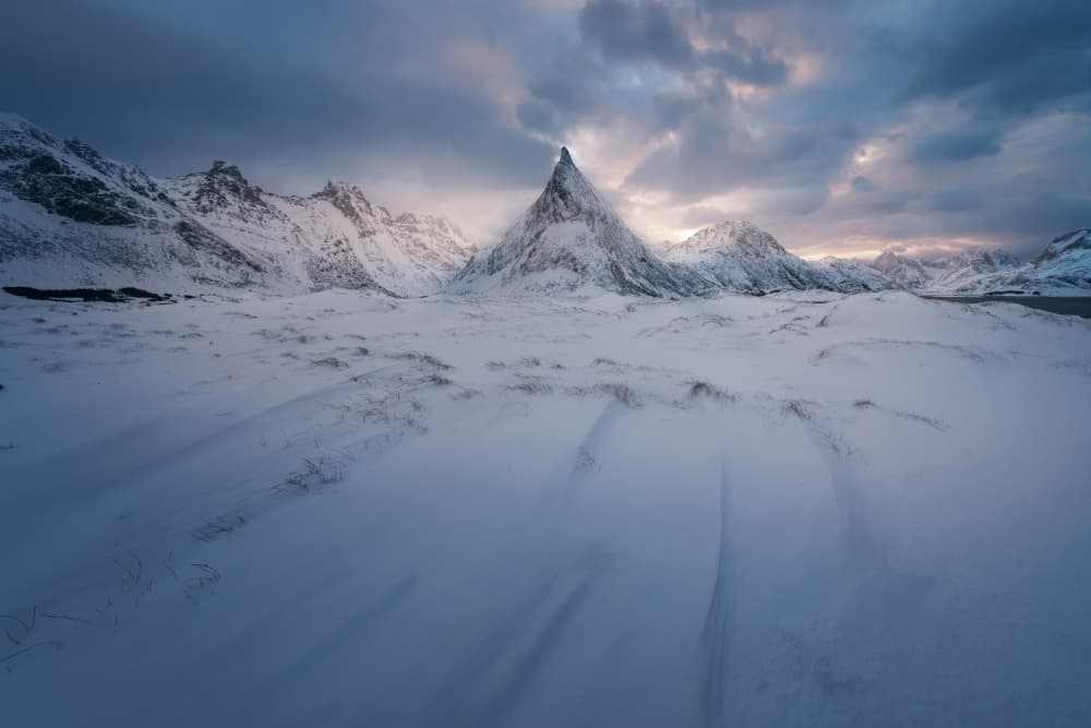 by David Martin Castan — canvas wall art