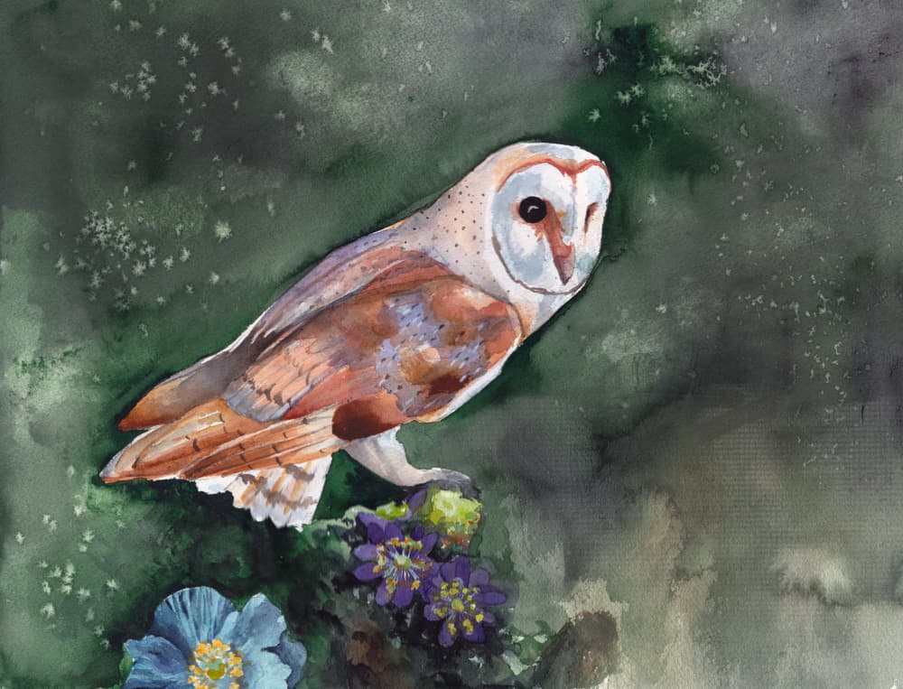 Barn Owl Nocturnal Blooms by Christine Lindstrom — canvas wall art