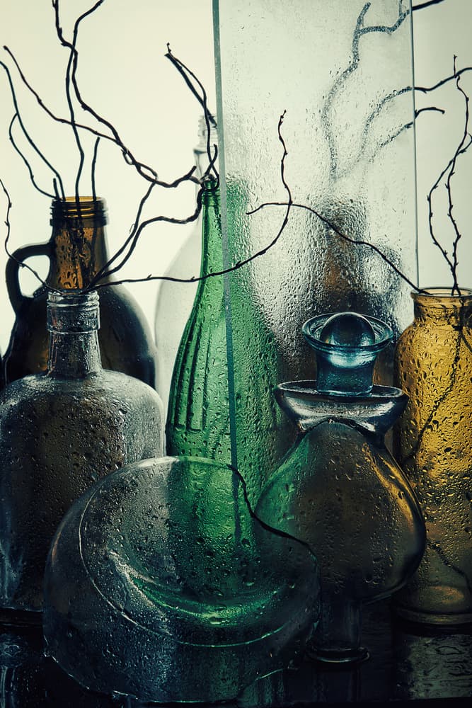 Wet Bottles And Branches by Golubeva Nataly — canvas wall art