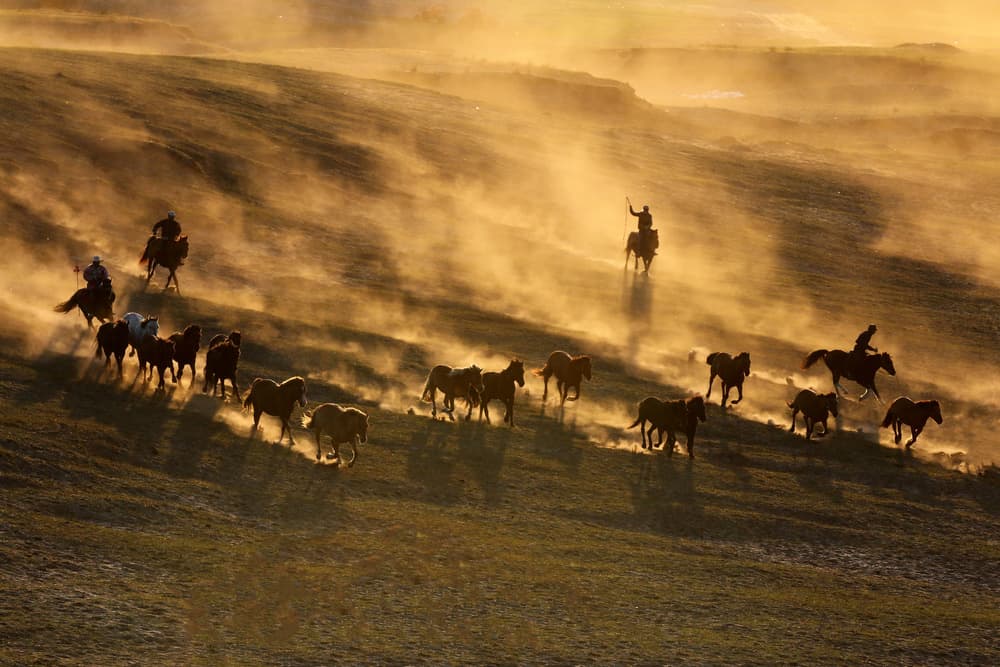 Galloping Dust Horses by Libby Zhang — canvas wall art