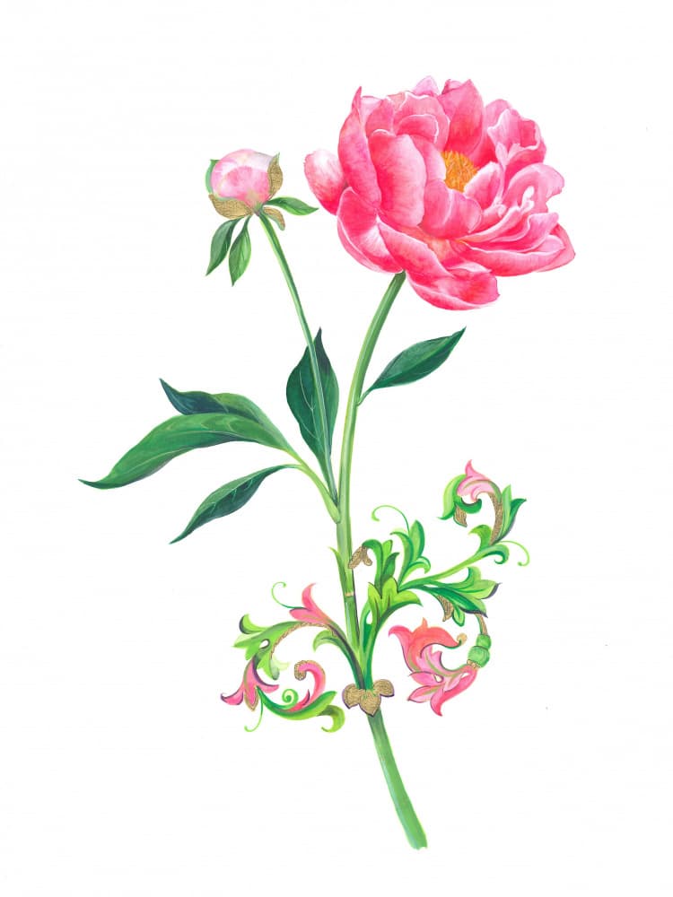 Pink Peony Flower by Isabelle Brent — canvas wall art