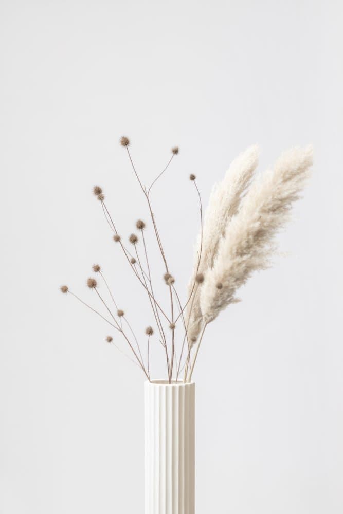 Elegant Dried Arrangement by Pictufy Studio III — canvas wall art