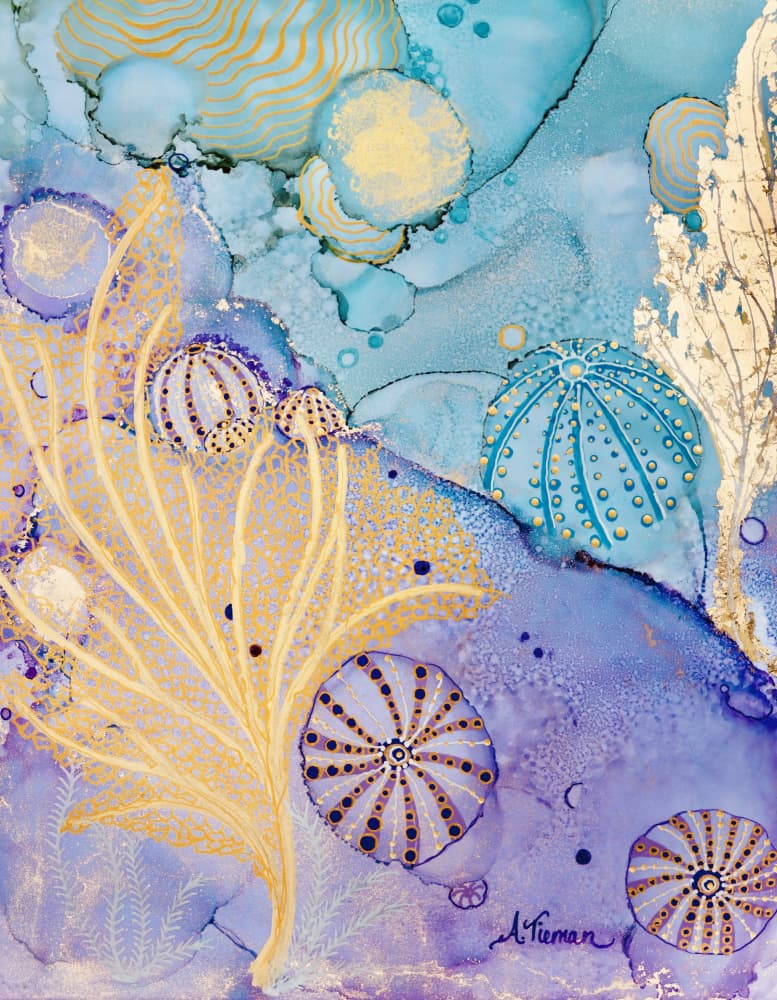 Aqua Coral Urchins by Amy Tieman — canvas wall art