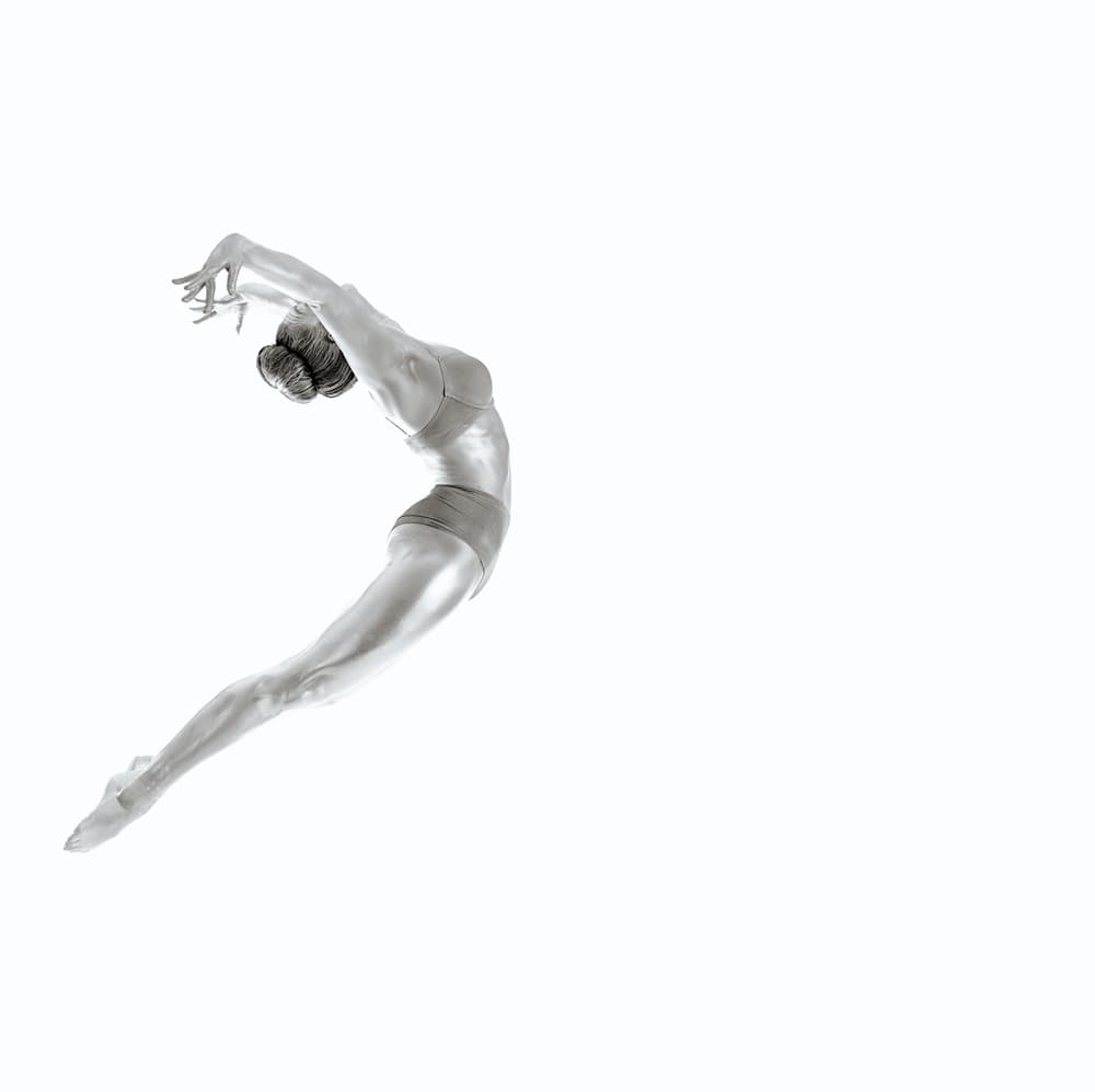 Dynamic Silver Leap by Howard Ashton-Jones — canvas wall art