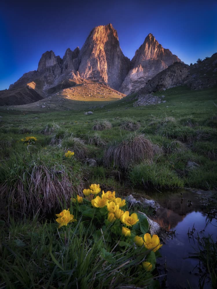 Golden Mountain Meadow by Ivan A. Godovikov — canvas wall art