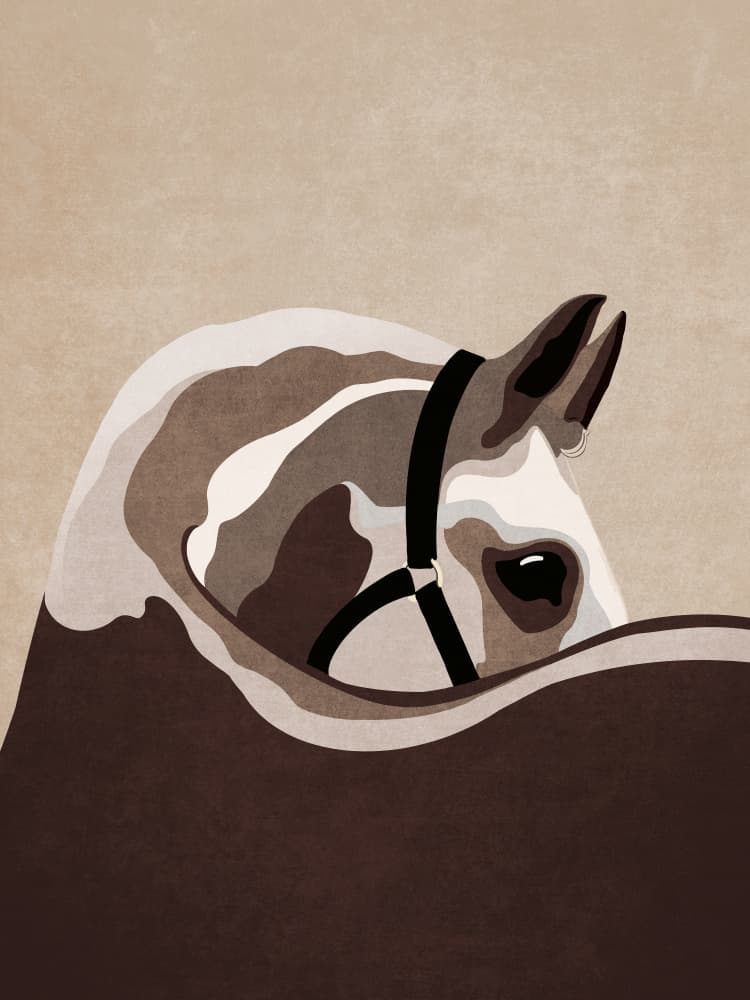 Majestic Equine Gaze by Emel Tunaboylu — canvas wall art