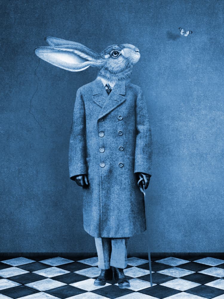 Curious Dapper Hare by Marja van den Hurk — canvas wall art