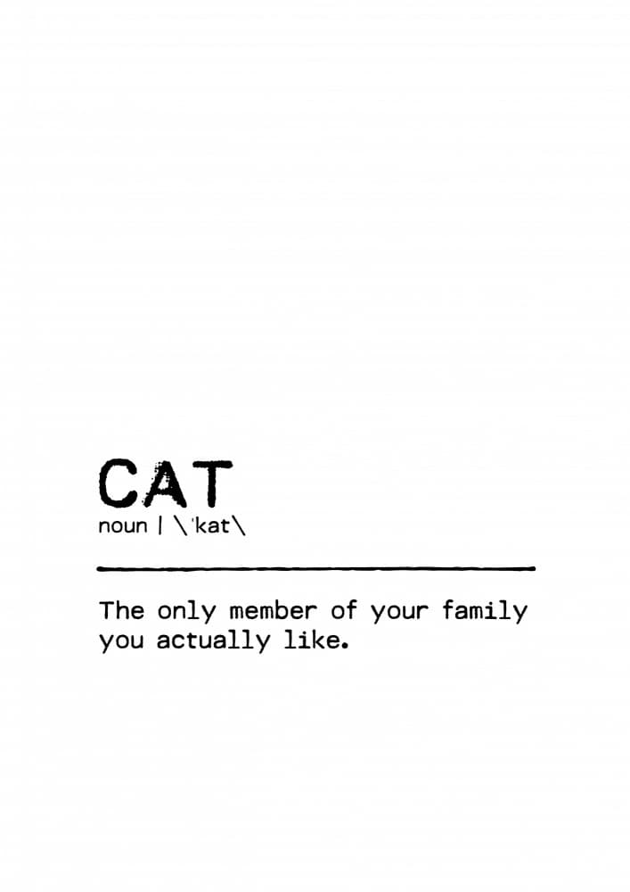 Funny Cat Definition by Orara Studio — canvas wall art