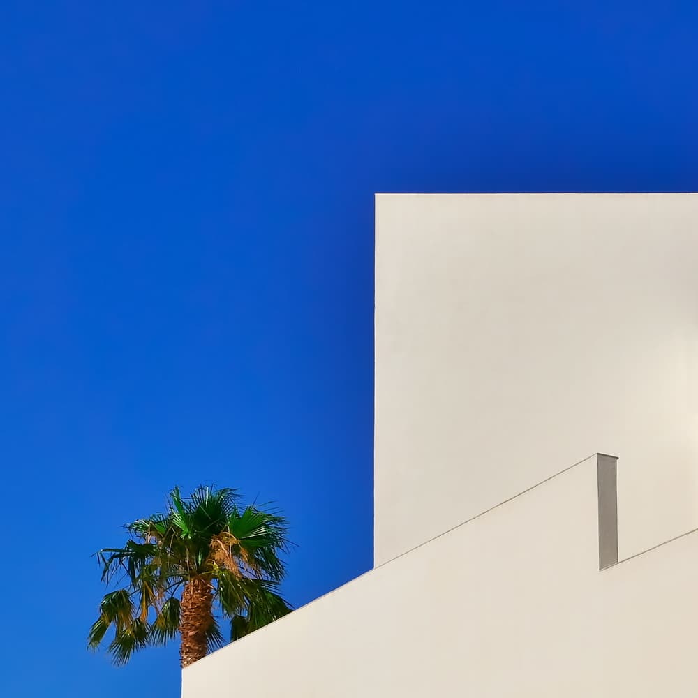Geometric Blue Sky Palm by Markus Auerbach — canvas wall art