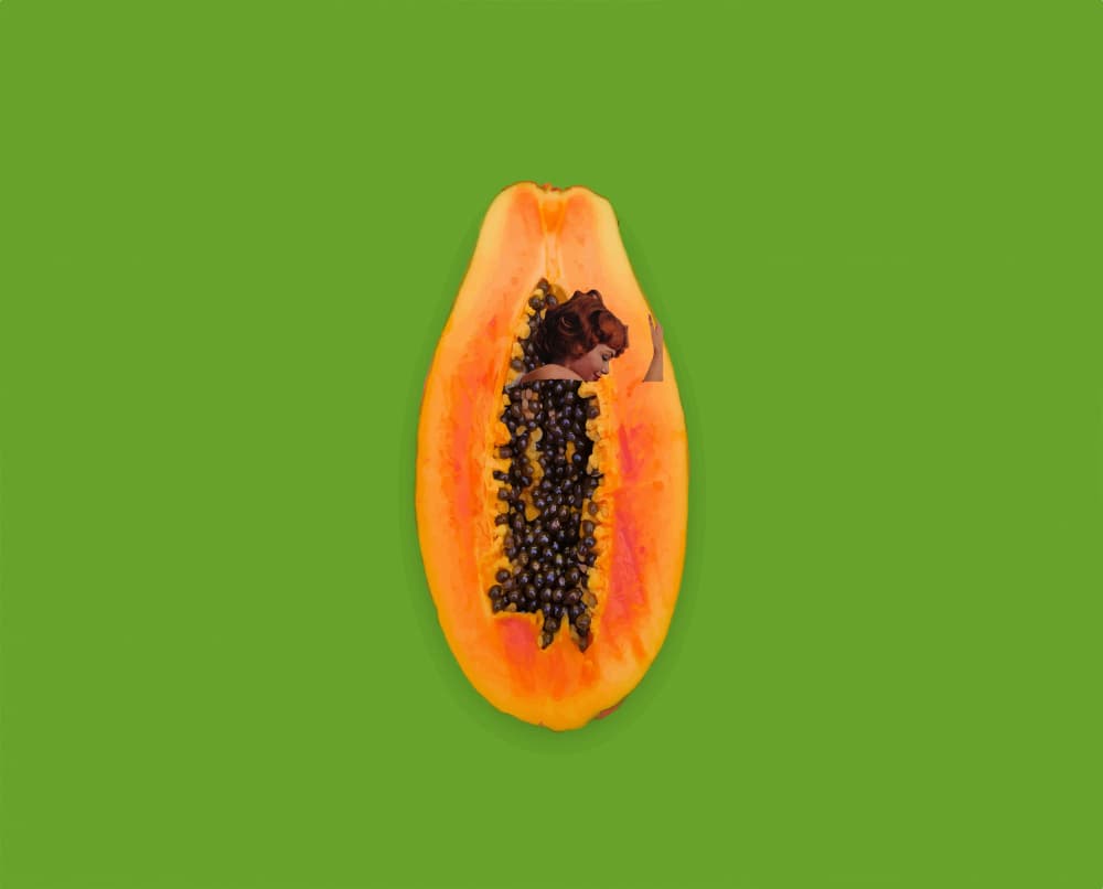 Surreal Papaya Still Life by Elizabeth C — canvas wall art