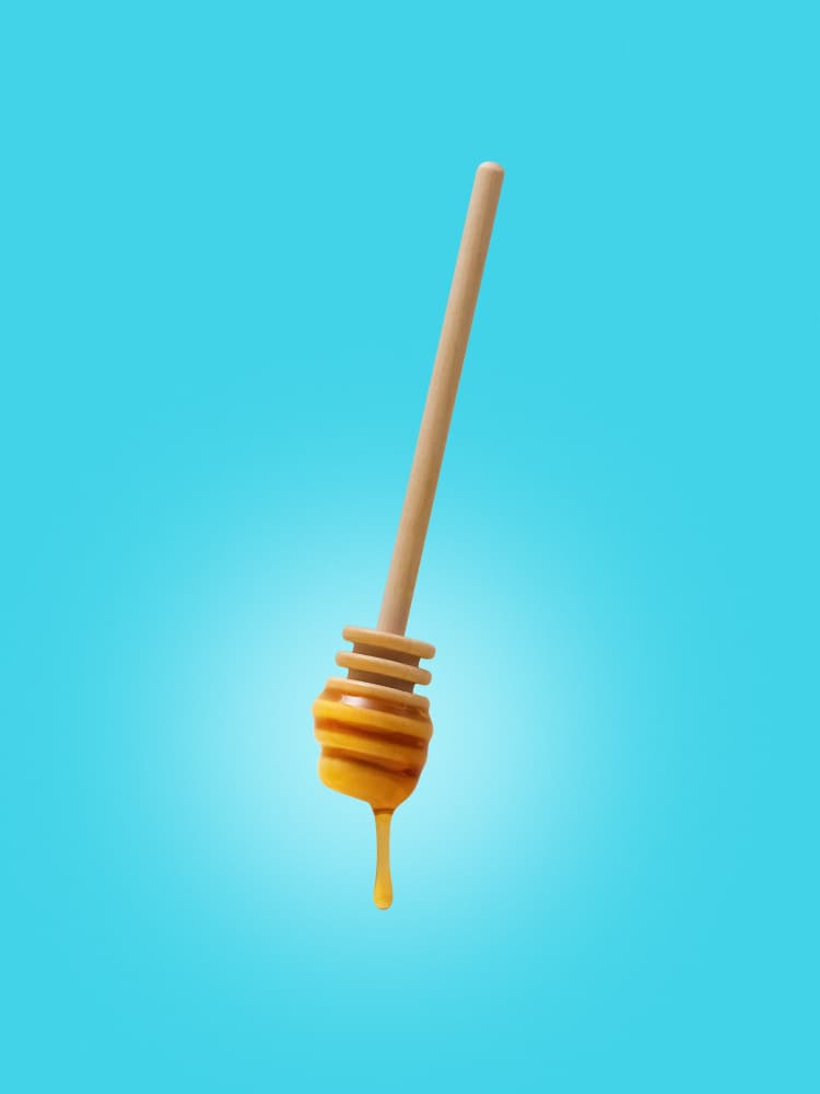 Honey Dipper with Drip by Tom Windeknecht — canvas wall art