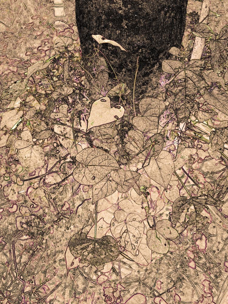 Earthy Garden Floor by Santhosh ch — canvas wall art