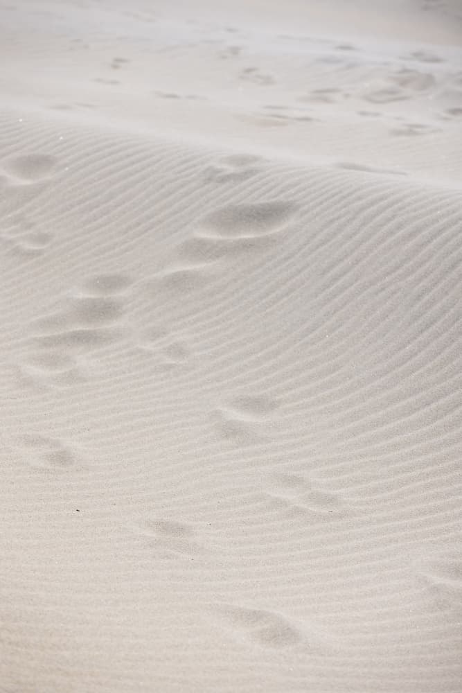 Sand Ripples And Footprints by Mareike Böhmer — canvas wall art