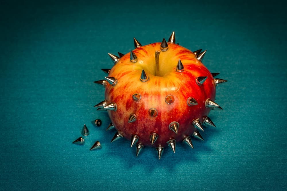 Forbidden Spiked Fruit by tom r. grabuschnigg (tomtitan) — canvas wall art