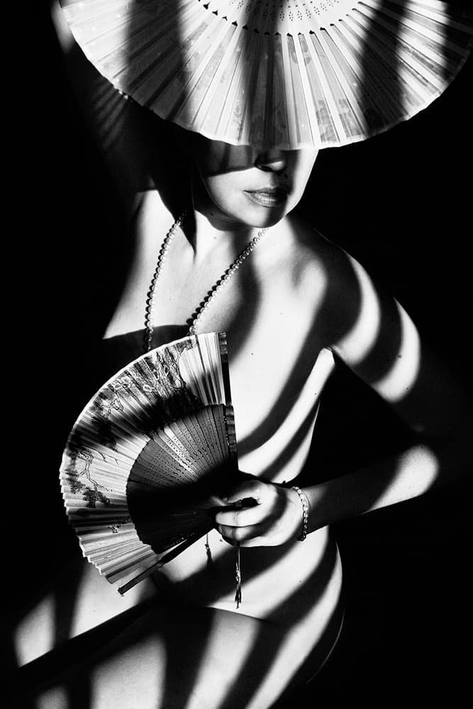 Elegant Fan Shadows by Mikhail Faletkin — canvas wall art