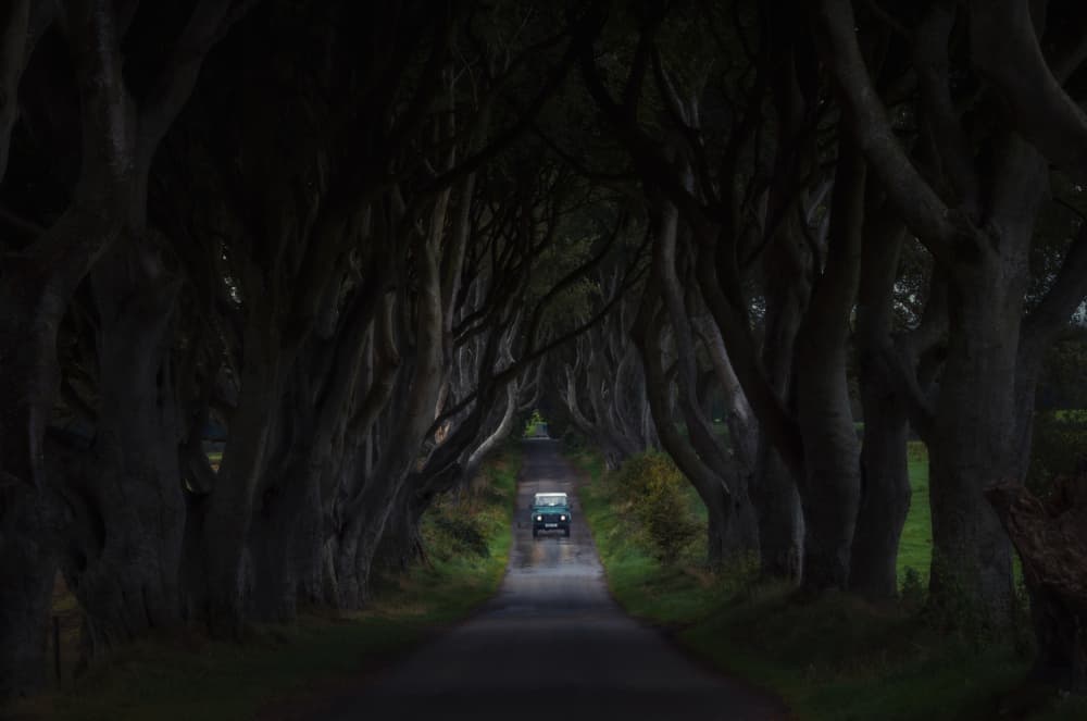 Dark Hedges Tunnel by Junbo Liang — canvas wall art